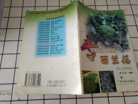 专家教你种蔬菜--西兰花--广东“农家书屋”系列
