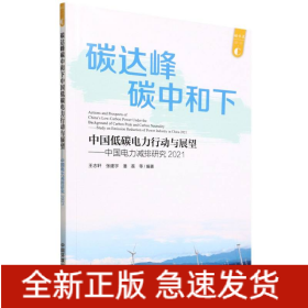 中國(guó)電力減排研究2021:碳達(dá)峰碳中和下中國(guó)低碳電力行動(dòng)與展望