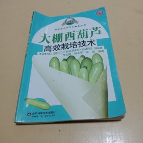 大棚西葫芦高效栽培技术