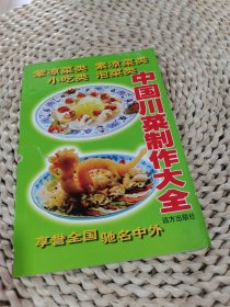 中国川菜制作大全