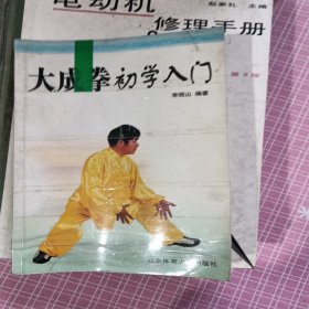 大成拳初学入门