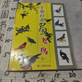千姿百态画飞鸟