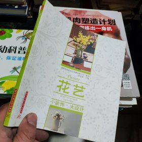 小装饰·大设计：花艺