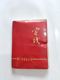 日记本：实践，桐乡县食品公司，64开塑料本，(已使用)