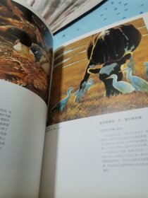 世界绘画大师动物画技法3