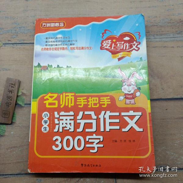 名师手把手小学生满分作文300字