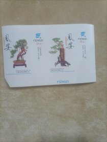 风姿烟标