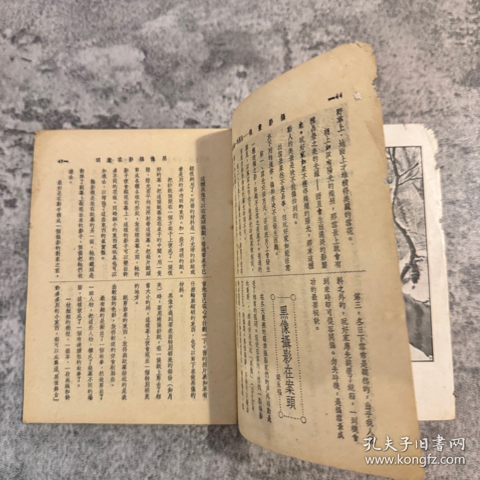 《摄影画报》第十二卷第二期，504 号