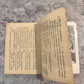 《摄影画报》第十二卷第二期，504 号