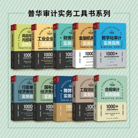 【假一罚四】人邮普华审计工具书10册唐鹏展