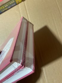 三个火枪手 上下册