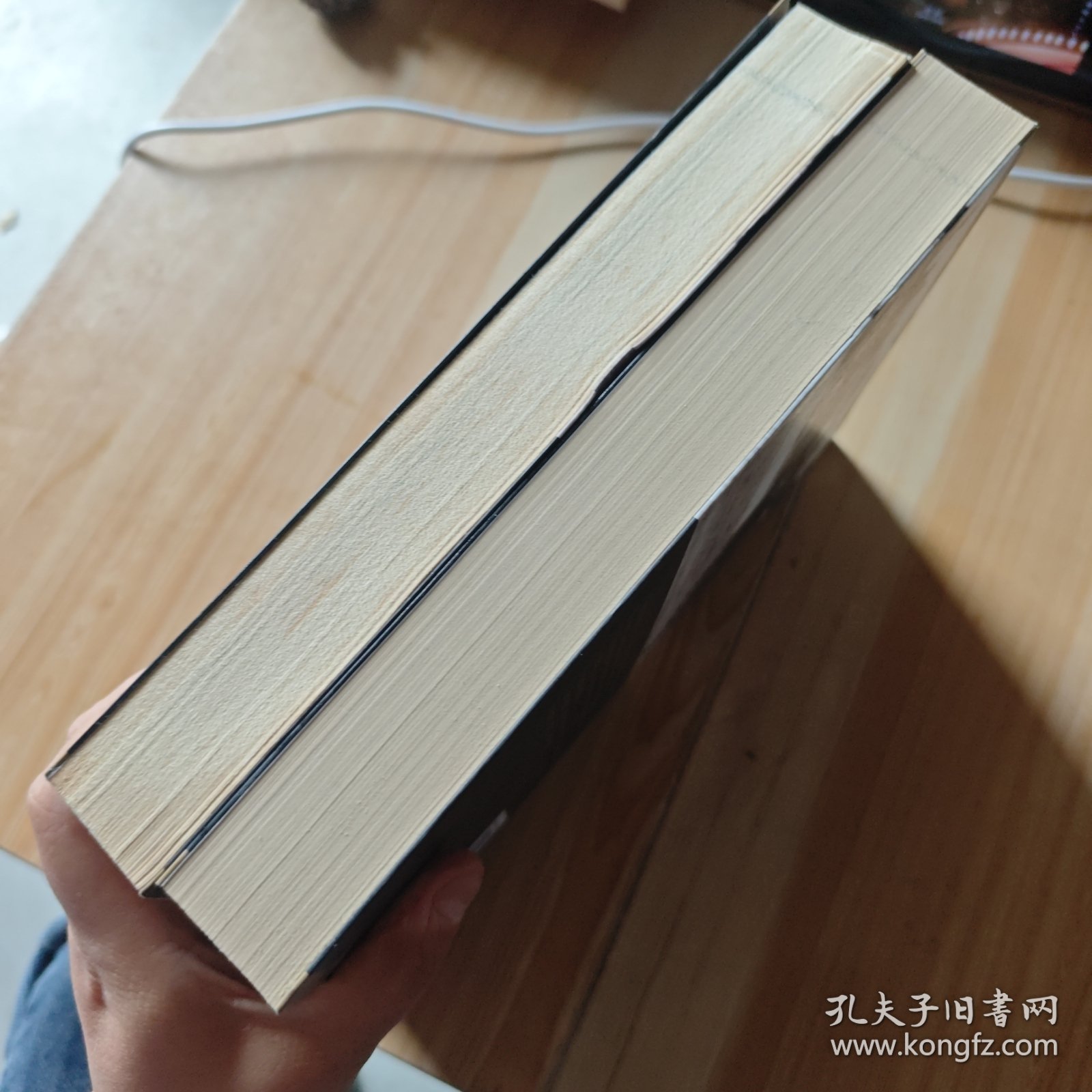 杨虎城大传