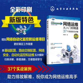 网络运维从入门到精通（第2版） 网络技术 樊胜民 编
