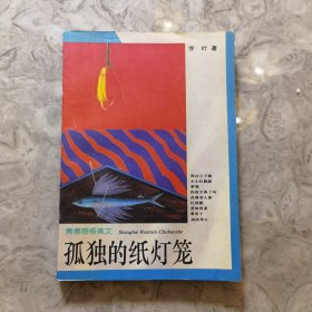 孤独的纸灯笼：青春美文系列·青春感悟美文