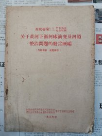 关于黄河下游河床演变及河道整治问题的发言汇编