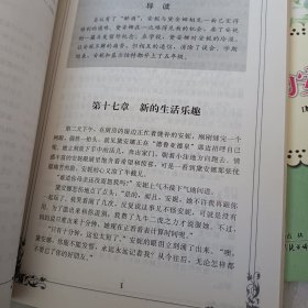 绿屋的安妮，上下册，