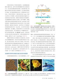 现货速发 细胞生物学精要原书第五5版张传茂 生命科学名著细胞生物学入门细胞DNA复制修复遗传生物学科学出版社9787030744692