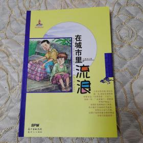 王勇英成长系列：在城市里流浪