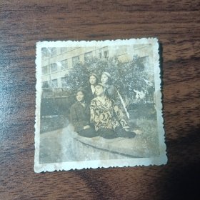 老照片–50年代四名漂亮女孩在花坛上留影（两人坐着，两人站着，身后建筑清晰可见）