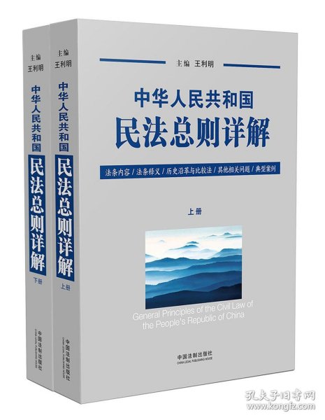 中华人民共和国民法总则详解（套装上下册）