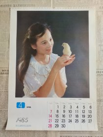 80年代老画，1985年朱碧云老挂历画一张（四开） 非常清纯美丽。