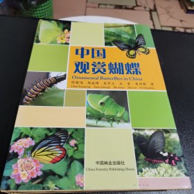中国观赏蝴蝶（签名本）