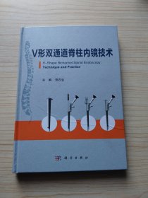 V形双通道脊柱内镜技术