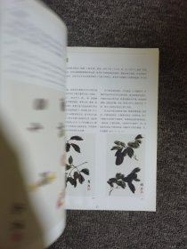 韩玮画牡丹课徒范本