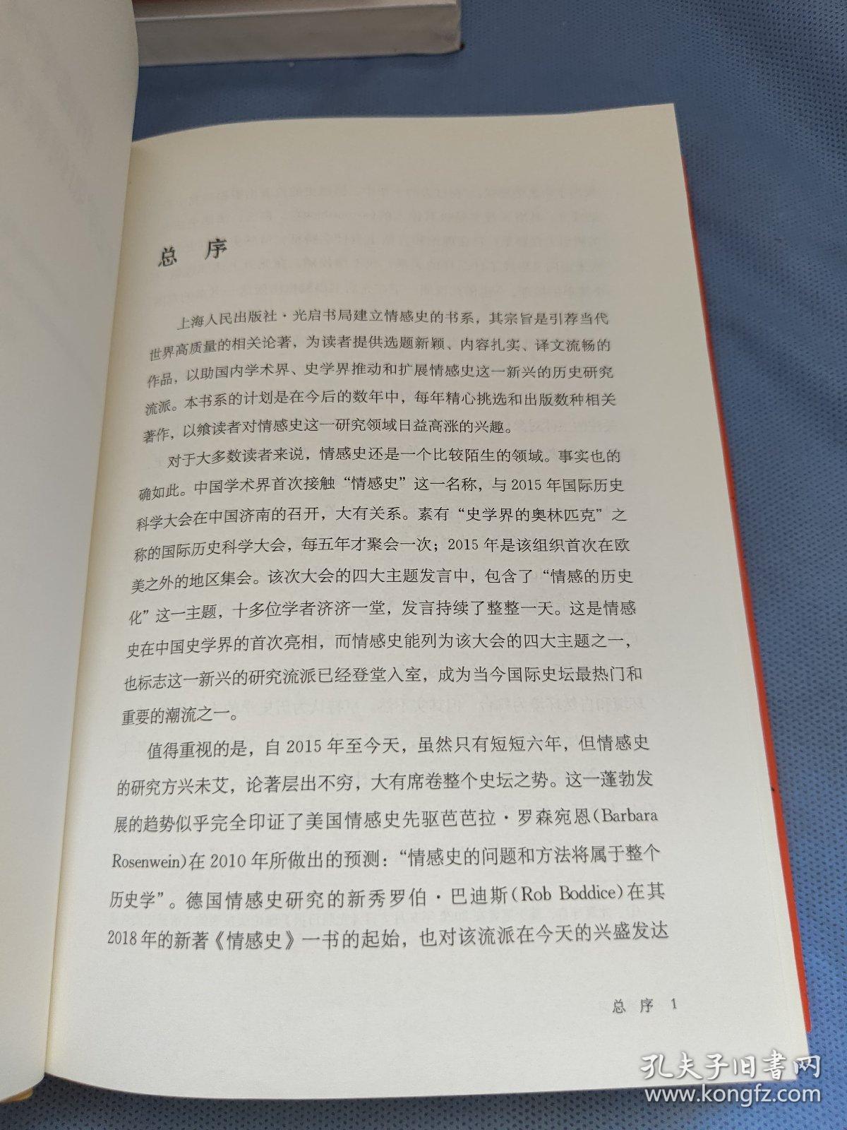 情感学习：儿童文学如何教我们感受情绪（一部有关孩子的情感史、阅读史、社会生活史）