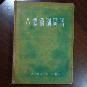 人体解剖图谱 一九五四年翻印