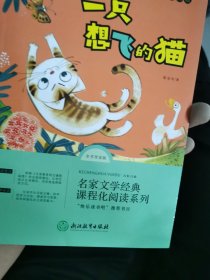 快乐读书吧二年级上册-一只想飞的猫