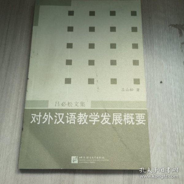 对外汉语教学发展概要