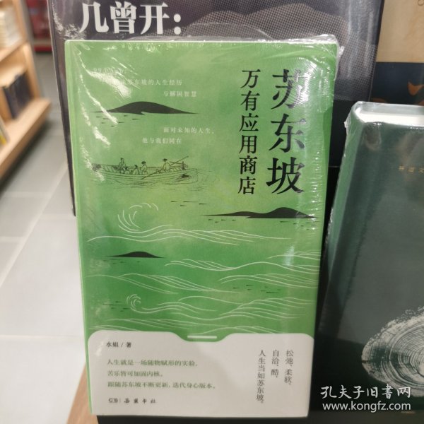 苏东坡万有应用商店（人生是一场随物赋形的实验。跟随苏东坡不断更新，迭代身心版本。秦朔、俞敏洪、罗振宇联合推荐）