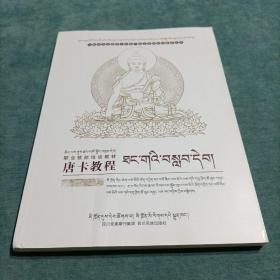 唐卡教程  少数民族非物质文化遗产职业技能培训教材丛书 职业技能培训教材