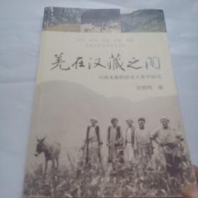 羌在汉藏之间：川西羌族的历史人类学研究