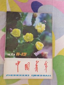 中国青年1981年第11一12期合刊