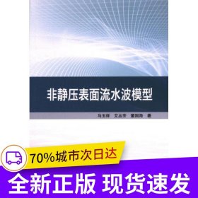非静压表面流水波模型