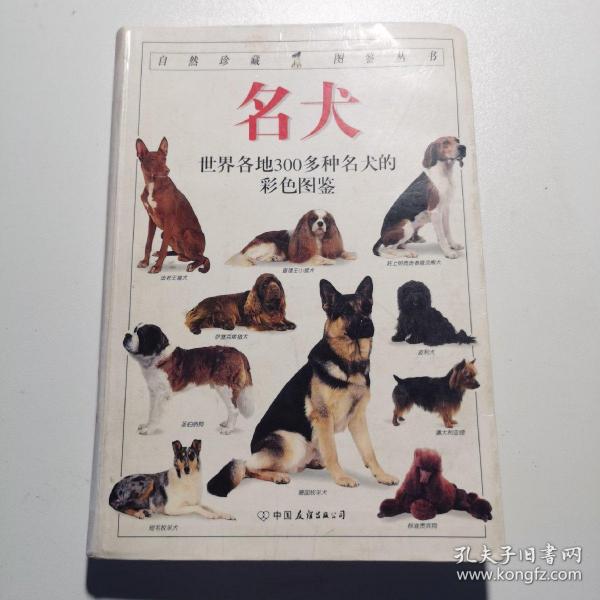 名犬：全世界300多种名犬的彩色图鉴,D51