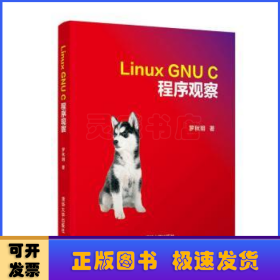 Linux GNU C 程序观察