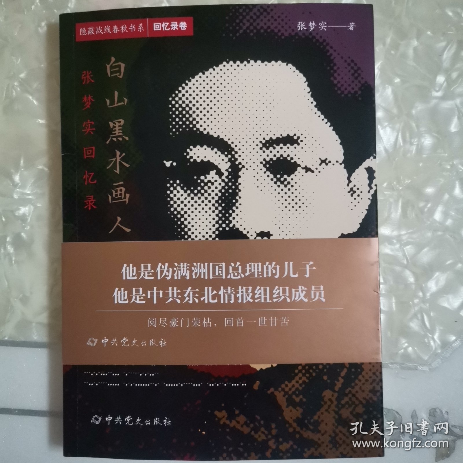 隐蔽战线春秋书系·回忆录卷：白山黑水画人生