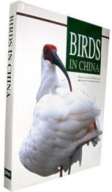 郑光美，张词祖 中国野鸟 9787503830877 中国林业出版社 2006--1 普通图书/自然科学