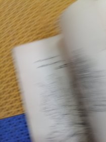 菊花写生资料