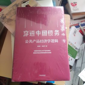 穿透中国债务