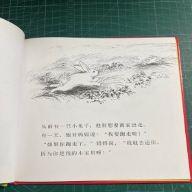 信谊绘本世界精选图画书：逃家小兔［精装］