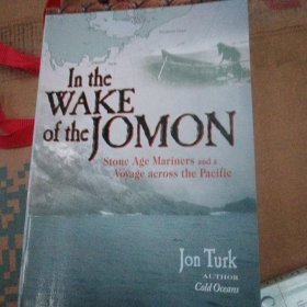 INTHEWAKEOFTHEJOMON，扫码上书