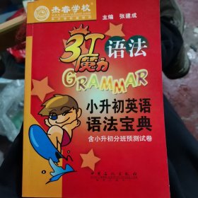 3T魔力语法系列丛书：小升初英语语法宝典