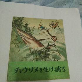 智捕大鲟鱼(日文)075 初版发行