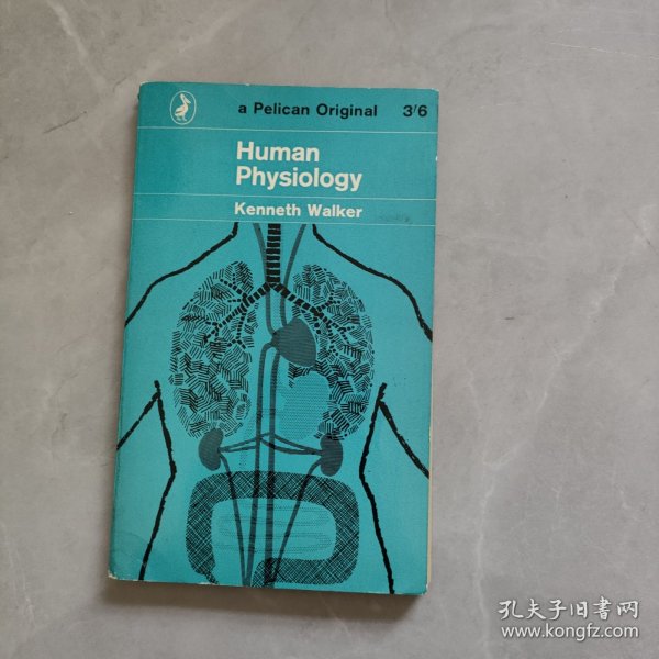 Human Physiology 人体生理学