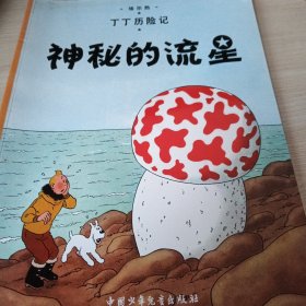 丁丁历险记·神秘的流星