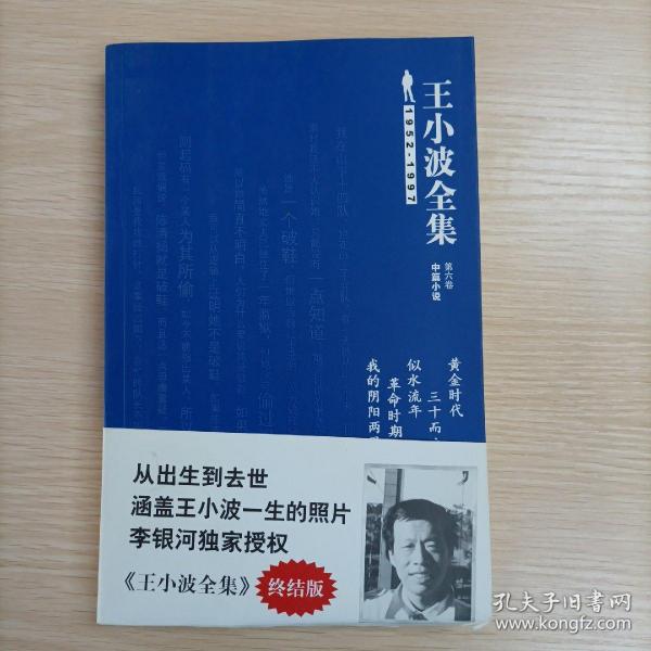 王小波全集（第六卷 中篇小说）：黄金时代 三十而立 似水流年 革命时期的爱情 我的阴阳两界